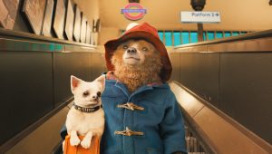 Paddington 3 Director Compares Threequel To Wild Indie Movie