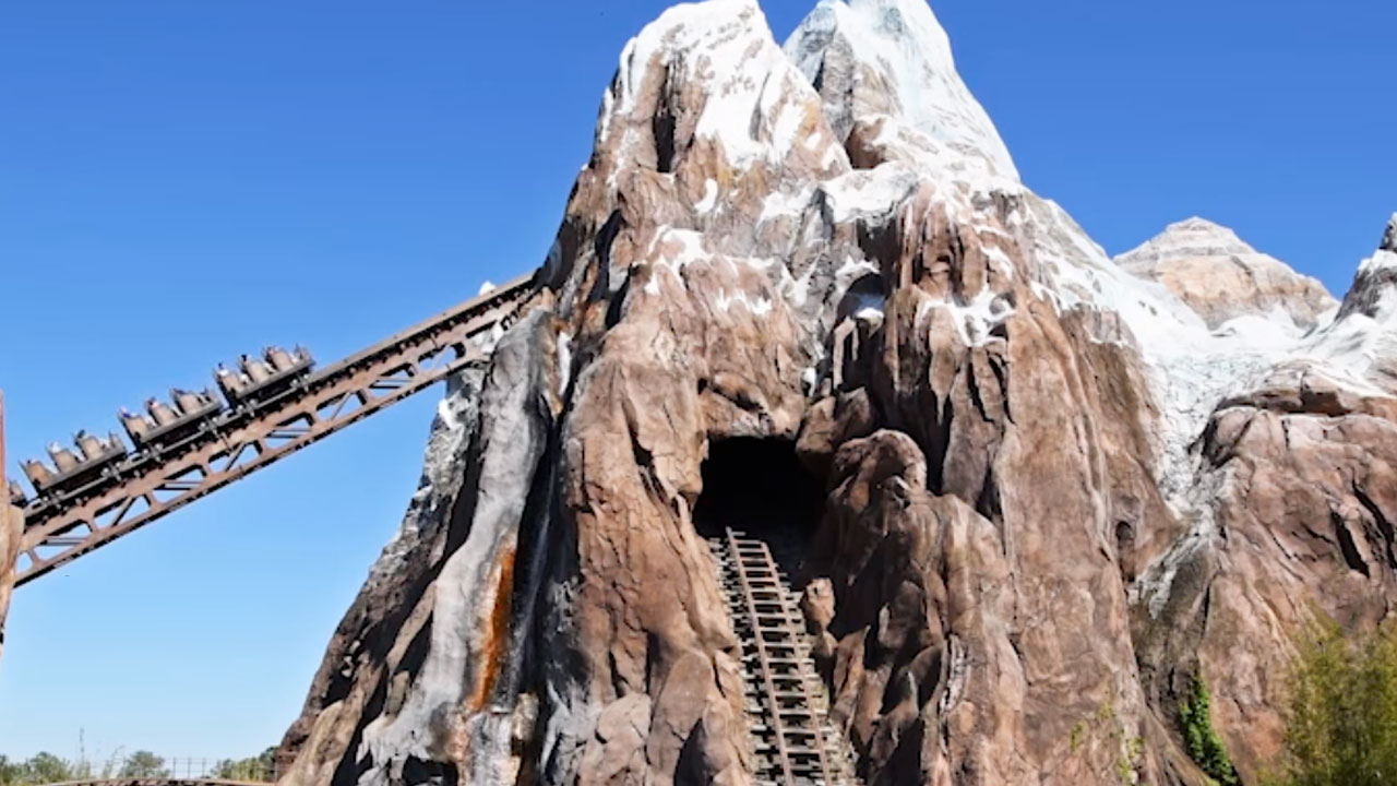 The Story Behind The Mass Grave Of Hair Ties Disney World Guests Leave On Expedition Everest