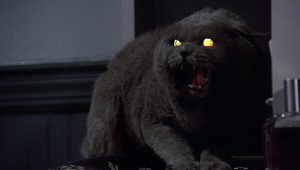 The Story Behind Why Stephen King Wrote Pet Sematary, And Why He Hates The Book