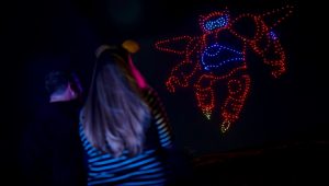 Disney World Is Expensive, But The Best Attraction Right Now Is Free