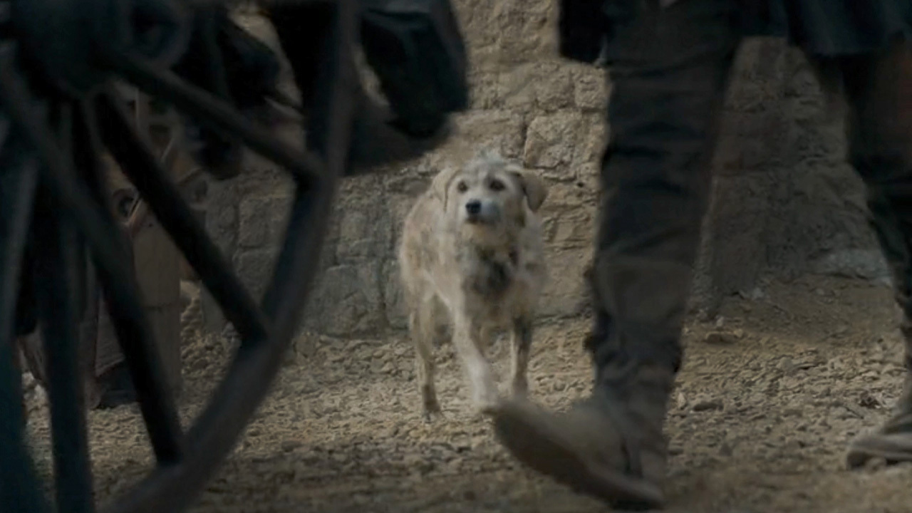 There Was A Blink-And-You’ll-Miss It Callback That Really Struck Me During House Of The Dragon’s Recent Episode. Turns Out, It Was Planned